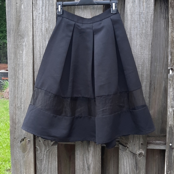 Express Dresses & Skirts - Express Skirt, Sheer Panel insert Black, 6, Pleats